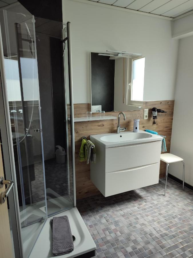 Haus Alexandra Inkl Meinecard Plus Willingen  Dış mekan fotoğraf