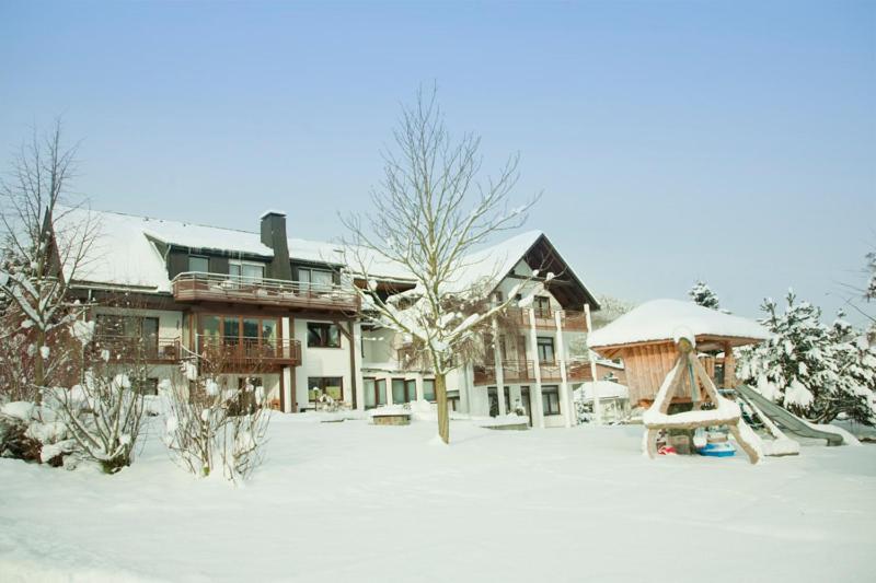 Haus Alexandra Inkl Meinecard Plus Willingen  Dış mekan fotoğraf