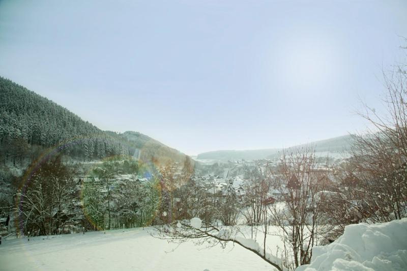 Haus Alexandra Inkl Meinecard Plus Willingen  Dış mekan fotoğraf