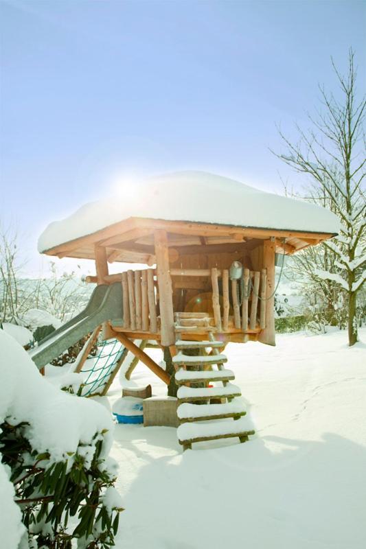 Haus Alexandra Inkl Meinecard Plus Willingen  Dış mekan fotoğraf