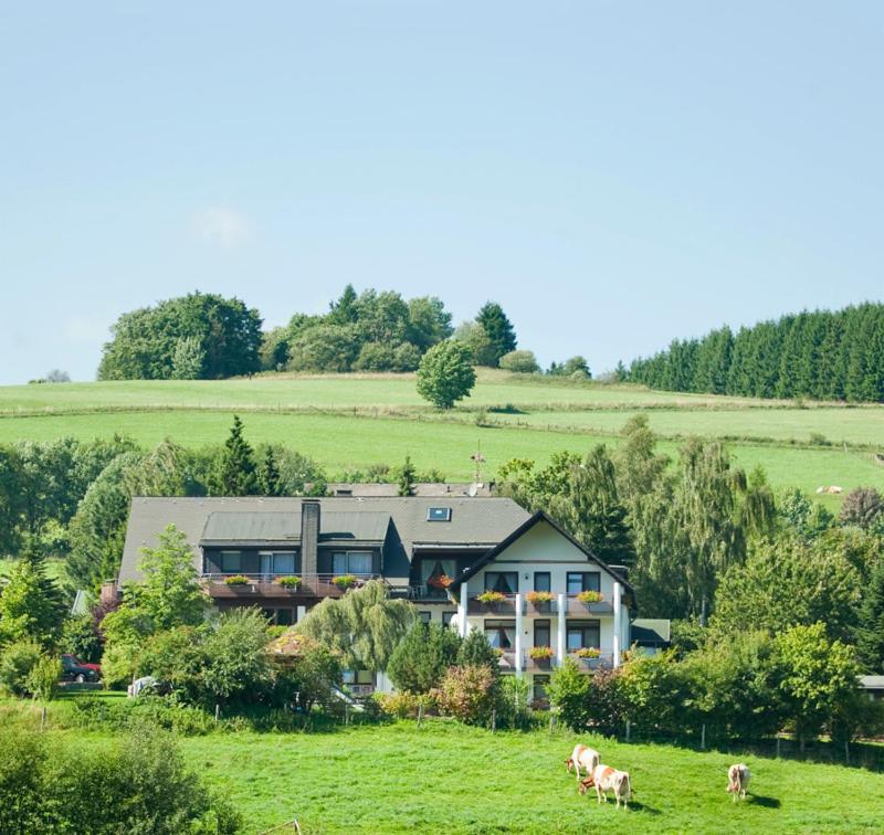 Haus Alexandra Inkl Meinecard Plus Willingen  Dış mekan fotoğraf